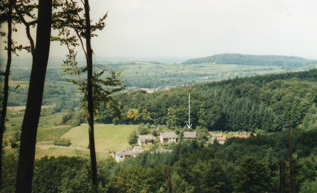Ferienwohnung Unterschuetz Ettenheim Esterno foto